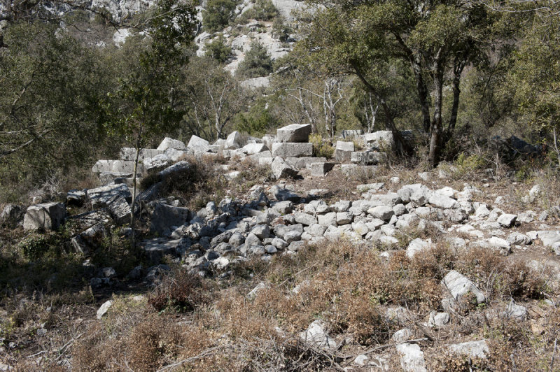 Termessos march 2012 3556.jpg