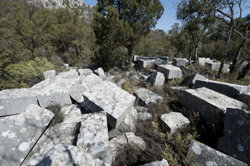 Termessos march 2012 3560.jpg