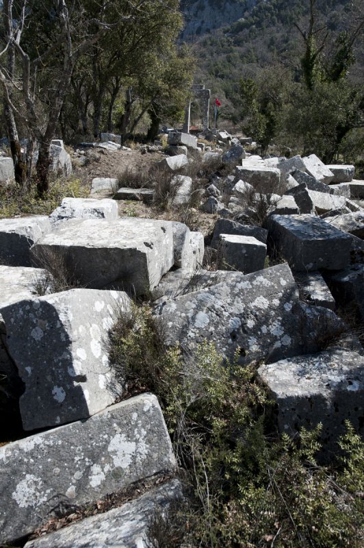 Termessos march 2012 3565.jpg