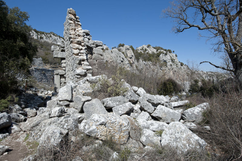 Termessos march 2012 3592.jpg