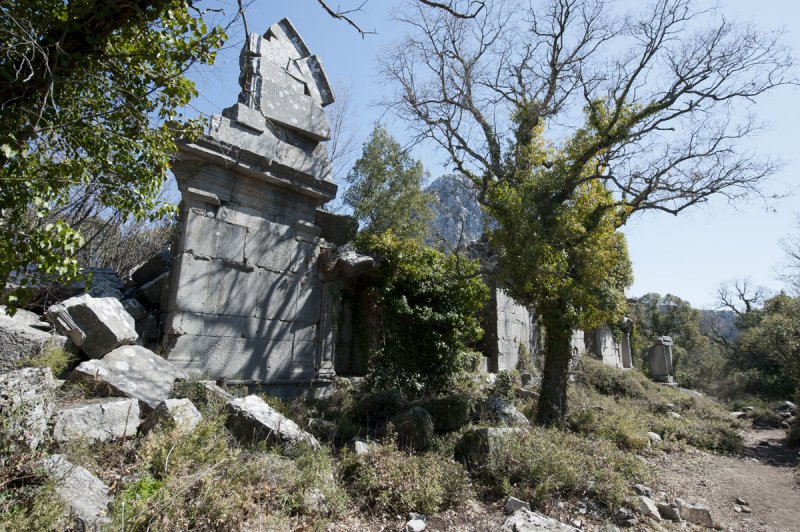 Termessos march 2012 3599.jpg
