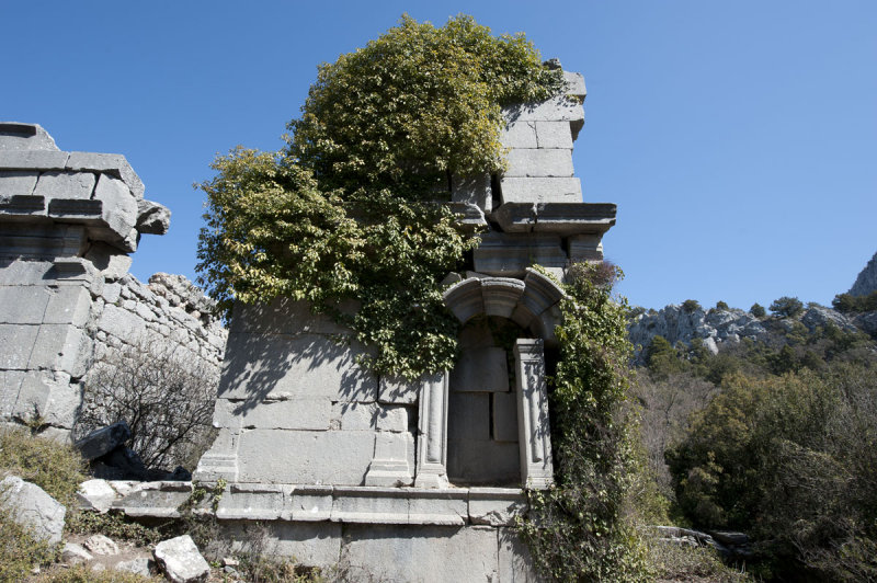 Termessos march 2012 3601.jpg