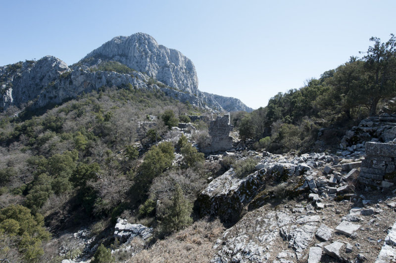 Termessos march 2012 3615.jpg