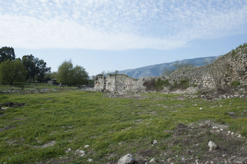 Limyra march 2012 5115.jpg