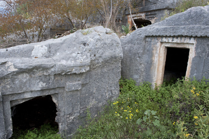 Limyra march 2012 5204.jpg