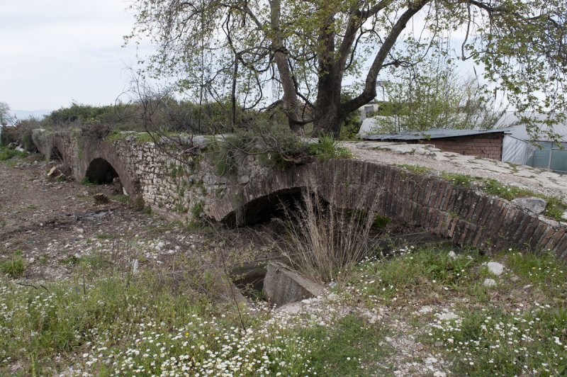 Limyra march 2012 5221.jpg