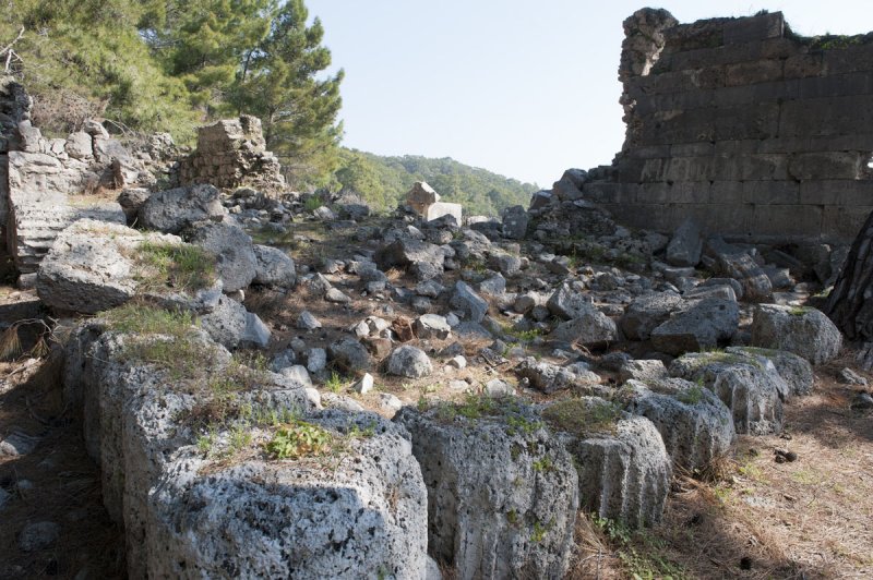 Phaselis march 2012 5240.jpg