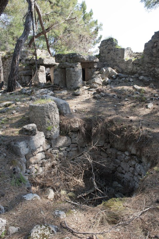 Phaselis march 2012 5241.jpg