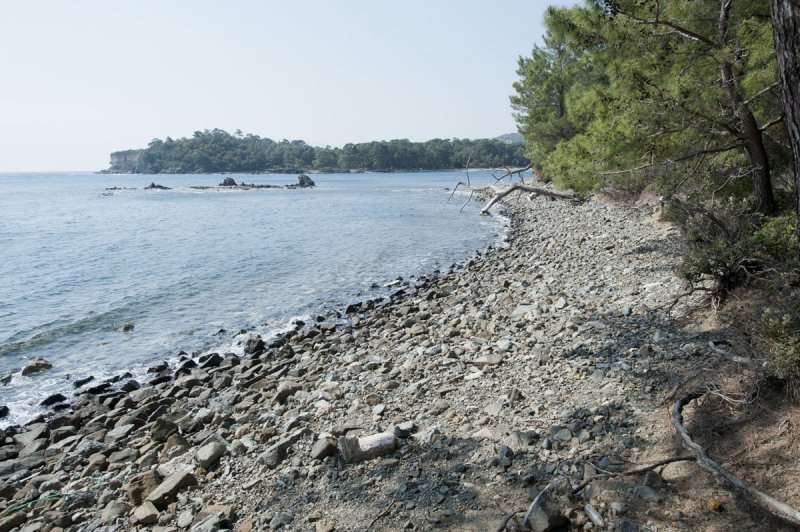 Phaselis march 2012 5259.jpg