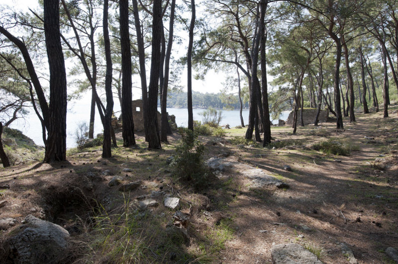 Phaselis march 2012 5260.jpg