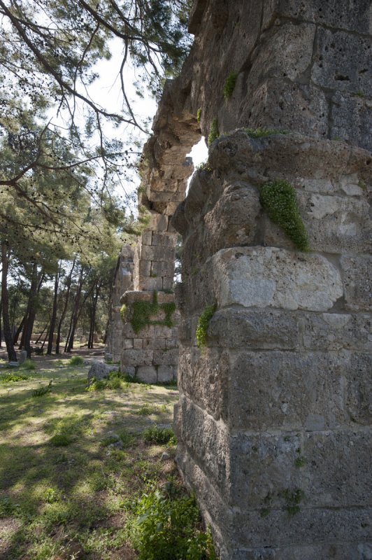 Phaselis march 2012 5265.jpg