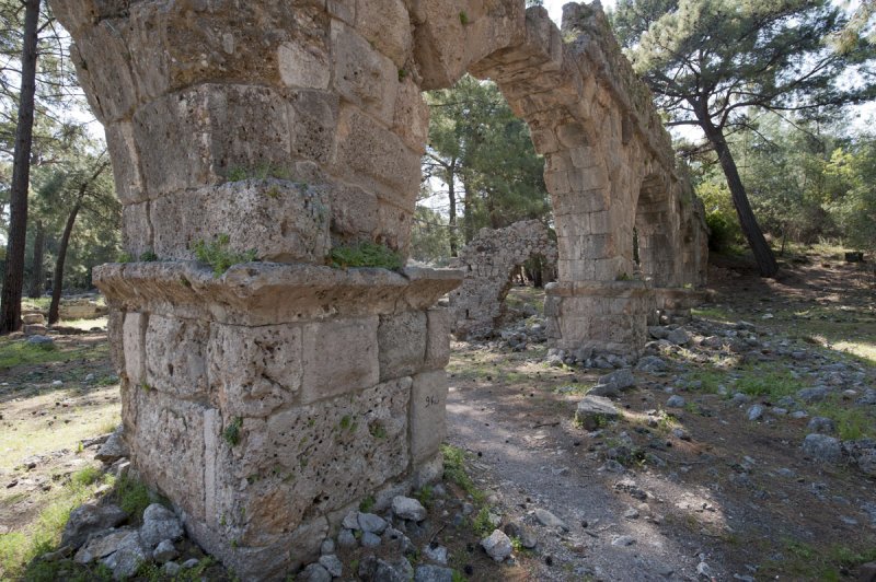 Phaselis march 2012 5270.jpg