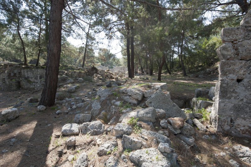 Phaselis march 2012 5273.jpg