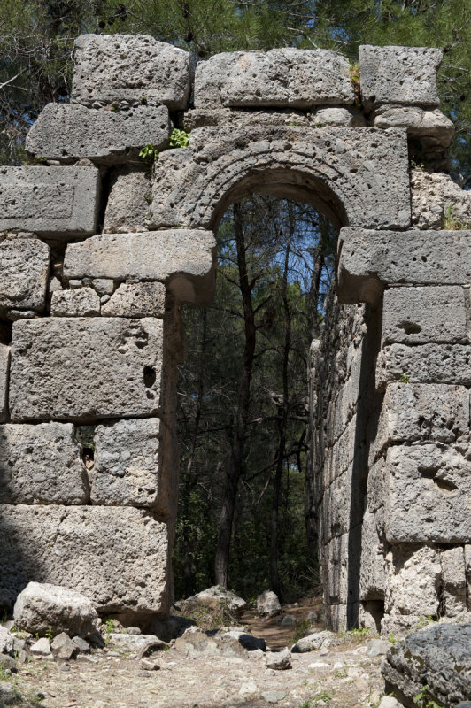 Phaselis march 2012 5310.jpg