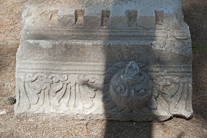 Phaselis march 2012 5318.jpg