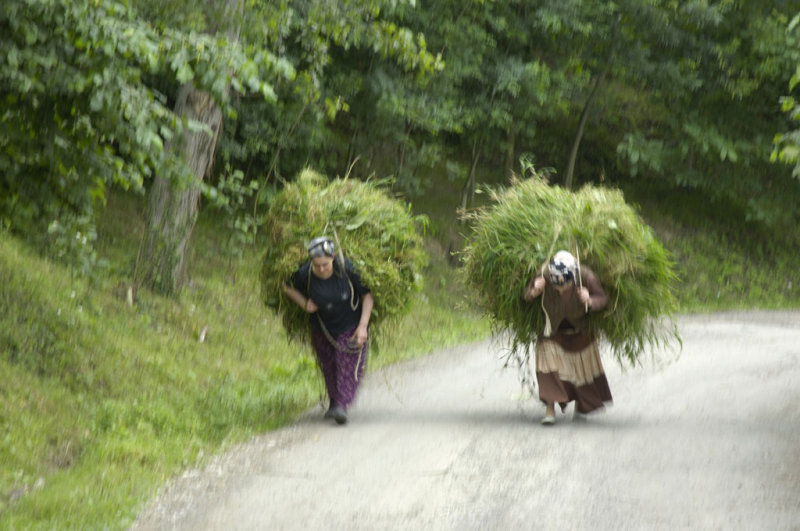 Trabzon 4886.jpg