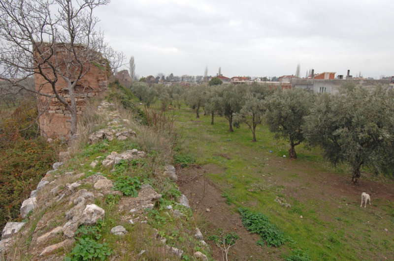 Iznik dec 2007 1639.jpg