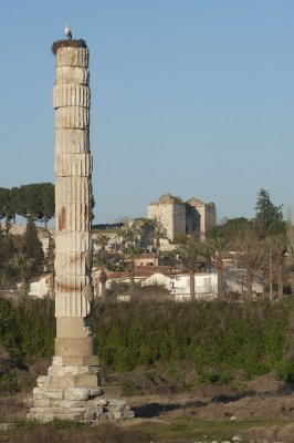 Selcuk Artemis Temple March 2011 3456.jpg