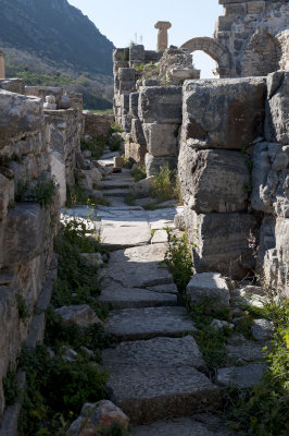 Ephesus March 2011 3759.jpg