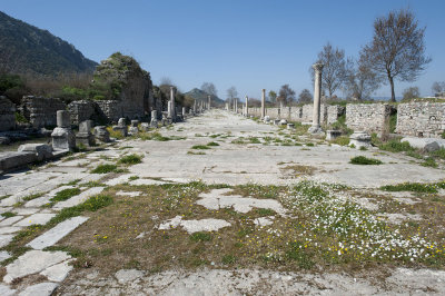 Ephesus March 2011 3613.jpg