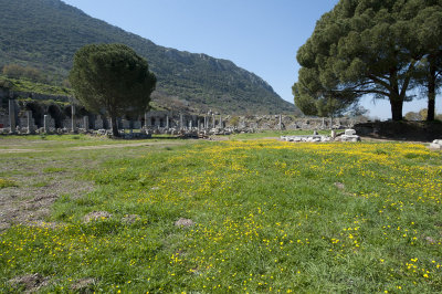 Ephesus March 2011 3625.jpg