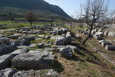 Ephesus March 2011 3756.jpg