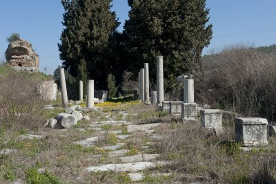 Ephesus March 2011 3513.jpg