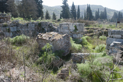 Ephesus March 2011 3537.jpg