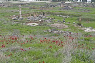 Hierapolis March 2011 4985.jpg