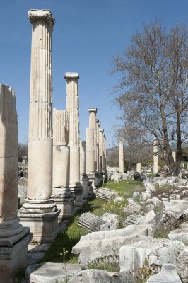 Aphrodisias March 2011 4475.jpg