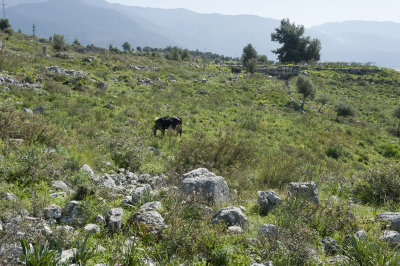 Xanthos March 2011 5110.jpg