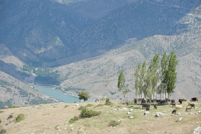 Amasya june 2011 7758.jpg