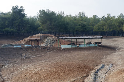 Gaziantep December 2011 2208.jpg