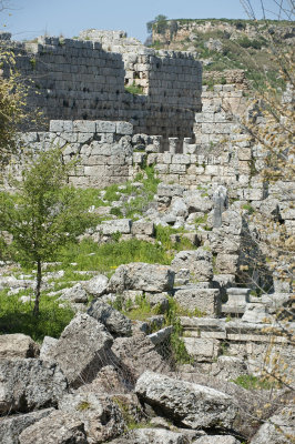 Perge march 2012 3836.jpg