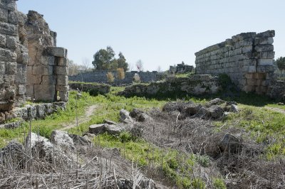 Perge march 2012 3876.jpg