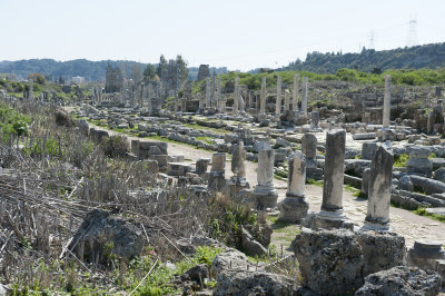 Perge march 2012 3934.jpg