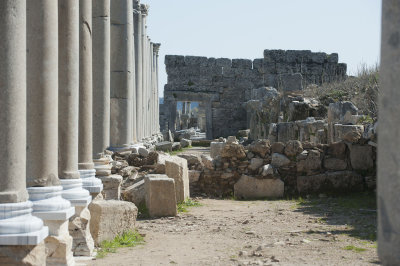 Perge march 2012 3966.jpg