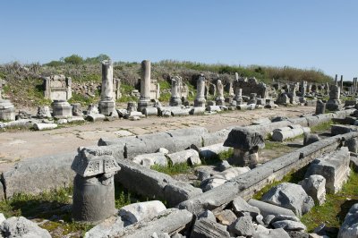 Perge march 2012 3978.jpg