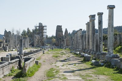 Perge march 2012 3986.jpg