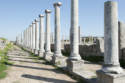 Perge march 2012 3993.jpg