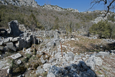 Termessos march 2012 3626.jpg