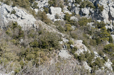 Termessos march 2012 3690.jpg