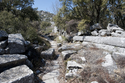 Termessos march 2012 3717.jpg