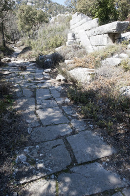 Termessos march 2012 3718.jpg