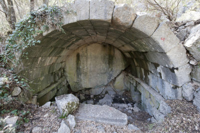 Termessos march 2012 3722.jpg