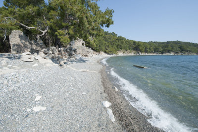 Phaselis march 2012 5246.jpg