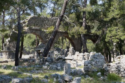 Phaselis march 2012 5363.jpg