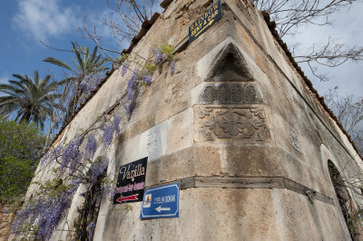 Antalya march 2012 5786.jpg
