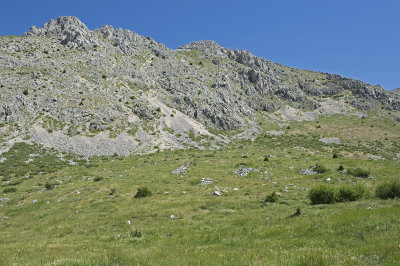 Sagalassos 19062012_2569.jpg