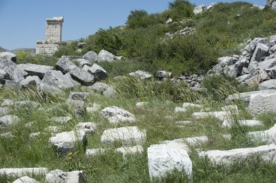 Sagalassos 19062012_2604.jpg